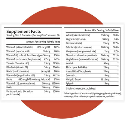 Pattern Wellness Multivitamin for Men & Women – 60 Vegan Capsules | Vitamin A, B, C, D, E – Supports Energy & Wellness – Whole Body Health – Daily Multivitamin Supplement