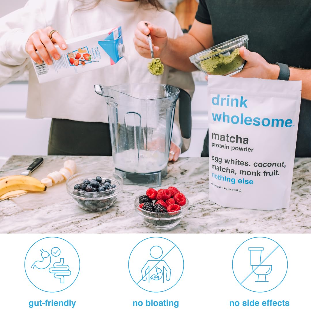 drink wholesome Matcha Egg White Protein Powder | for Sensitive Stomachs | Easy to Dige