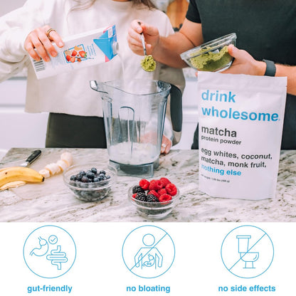 drink wholesome Matcha Egg White Protein Powder | for Sensitive Stomachs | Easy to Dige