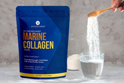 Antler Farms Marine Collagen Powder - Wild Caught Pacific Snapper, 12 oz | 100% Pure, Soluble in Hot or Cold Liquids, Highly Bioavailable, Rapid Absorption, No Taste or Smell