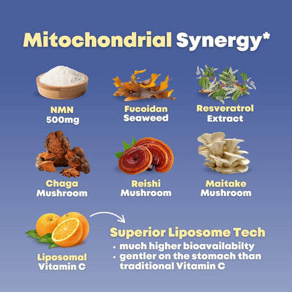 NMN 500mg & Fucoidan with Trans Resveratrol, Liposomal Vitamin C, Chaga, Reishi, Maitake Mushroom Extract - NAD+, Mitochondrial, Healthy Aging Support - 60 Capsules, Non GMO, Gluten Free Supplement