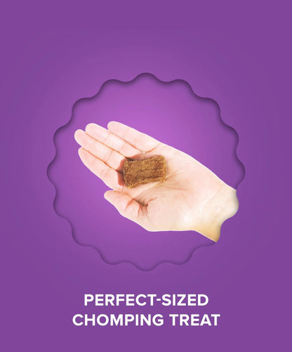Plato Pet Treats Real Strips - Air-Dried Meat Bars for Dogs - Delicious, Limited Ingredient Dog Treats - Grain Free - Original Real Strips Turkey & Pumpkin 18oz - 2 Pack