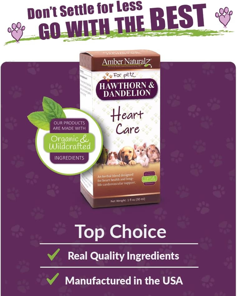 Amber NaturalZ Hawthorn & Dandelion for Pets, Heart & Circulation Care, 1oz | Maintains optimal cardiovascular wellness in pets. Supports normal heart function, healthy blood circulation & fluid balance.