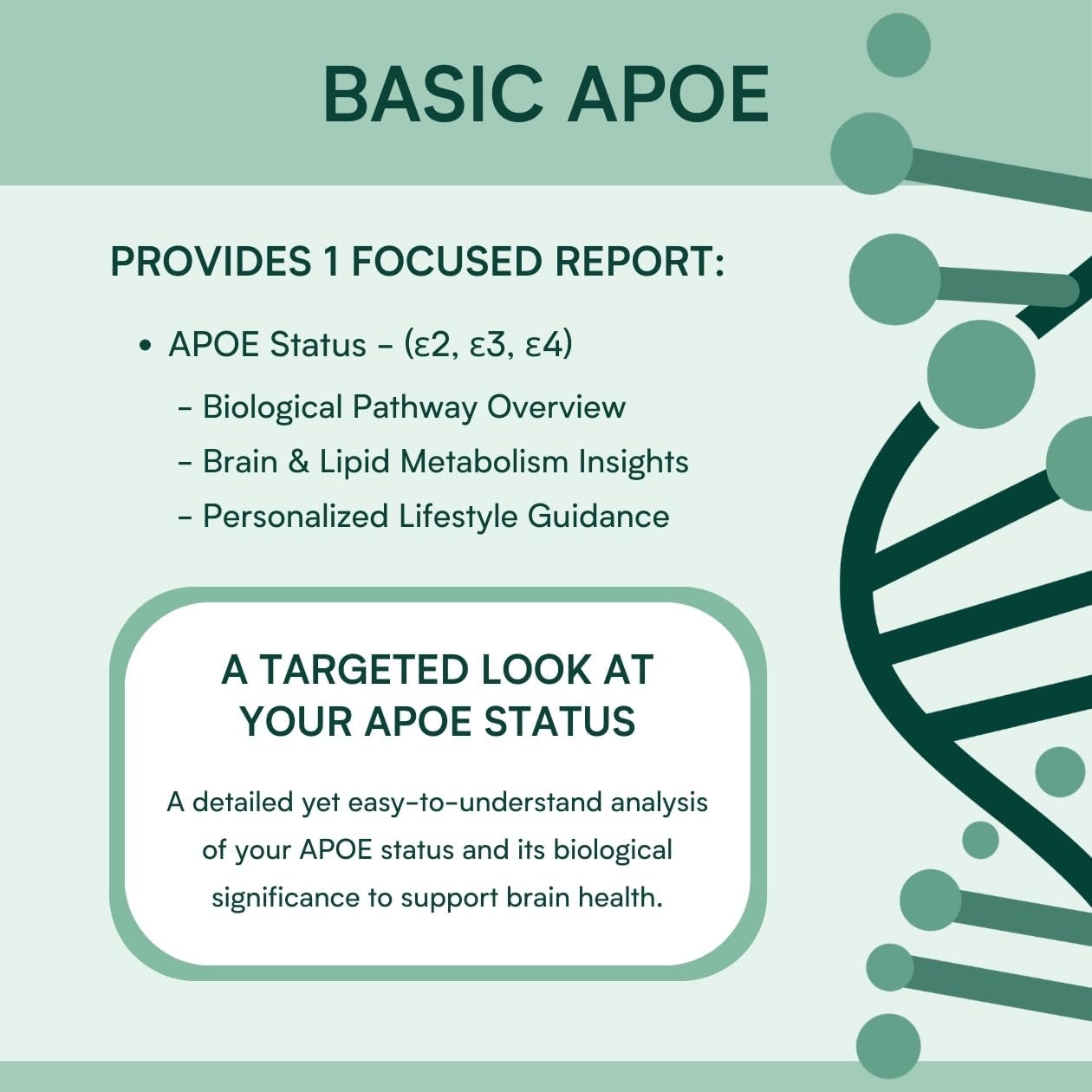 APOE4 Gene Test Kit: At-Home DNA Brain Health & Cognitive Genetic Analysis – Easy Cheek Swab – Personalized Genetic Insights – CLIA-Certified Lab