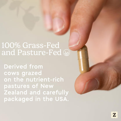 Zen Principle Grass Fed Beef Intestines with Stomach (Tripe) Supplement, Supports Digestive Health and Gut Balance, Supports Acid Reflux Balance, Natural Intestine Wellness, 2-Pack, 420 Capsules.