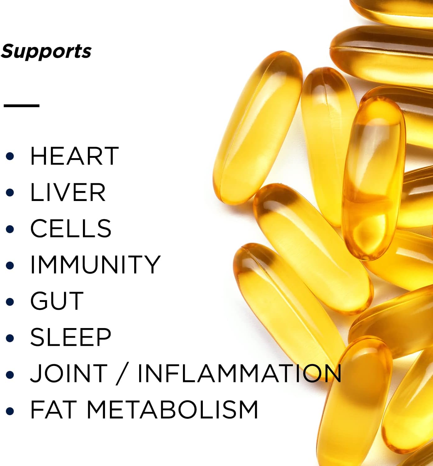 Primitive Scientific Nordic Pure Oil Complex (60 Fish Oil Capsules) for Brain, Immunity & Vision - Heart Supplement w/EPA, DHA, Vitamin D3, Choline - Omega 3 Supplements