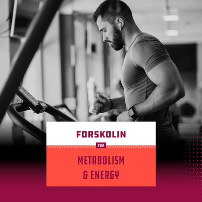 Pure Forskolin Extract - Fat Burning & Metabolism Boosting Weight Loss Supplement