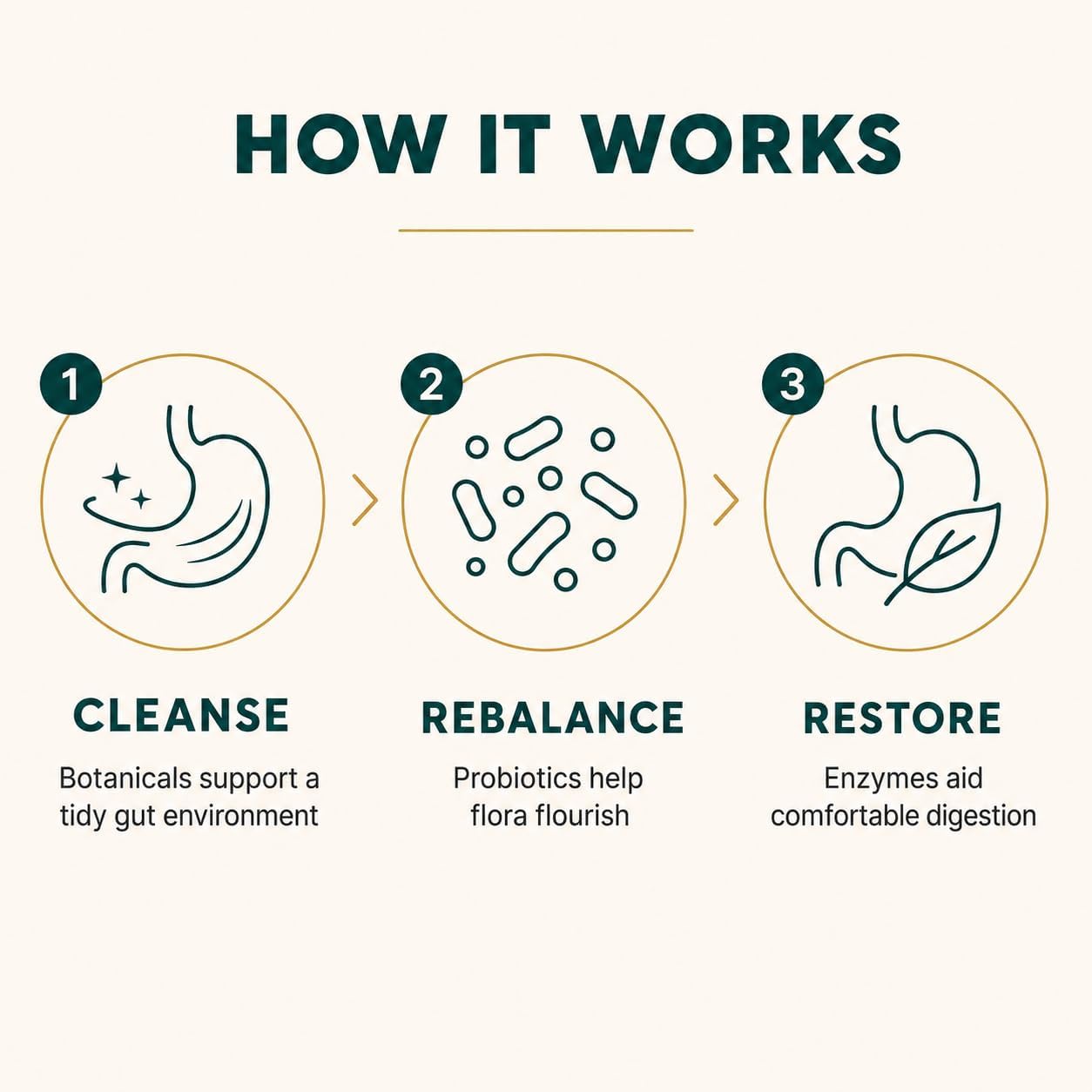 Happee Candida Cleanse Detox Supplement, Gut & Digestive Health, 90 Caps | For Women & Men - Yeast Overgrowth Support – Oregano, Caprylic Acid, Berberine & Probiotics
