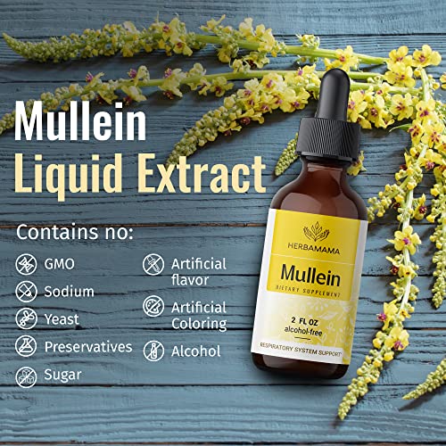 Mullein Leaf Tincture - Lung Cleanse - Vegan Lung Detox - Respiratory Health