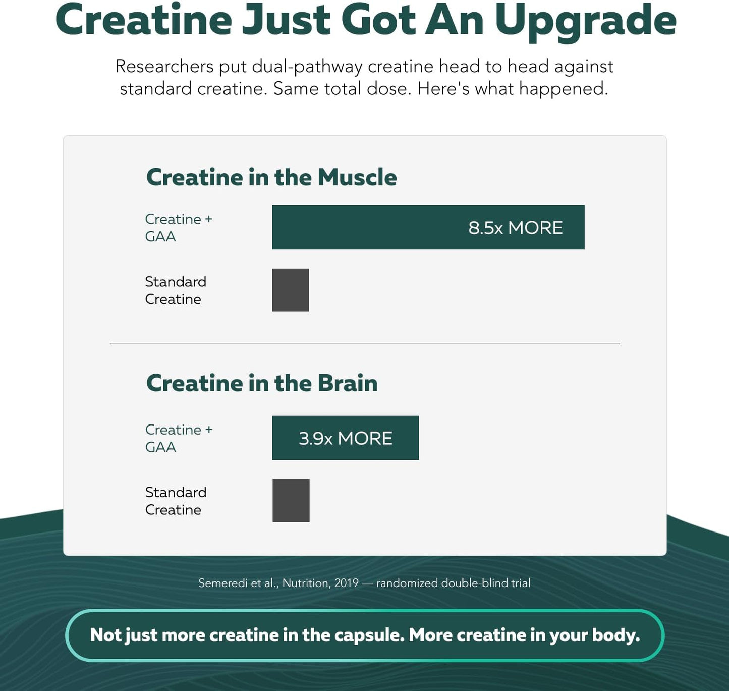Creatine Reserve™ - Creatine Monohydrate Plus GAA for Mind, Muscle & Energy Support - Dual Pathway Delivery Creatine Supplement for Women & Men - Active B Vitamins & Taurine, Non-GMO (1 month supply)