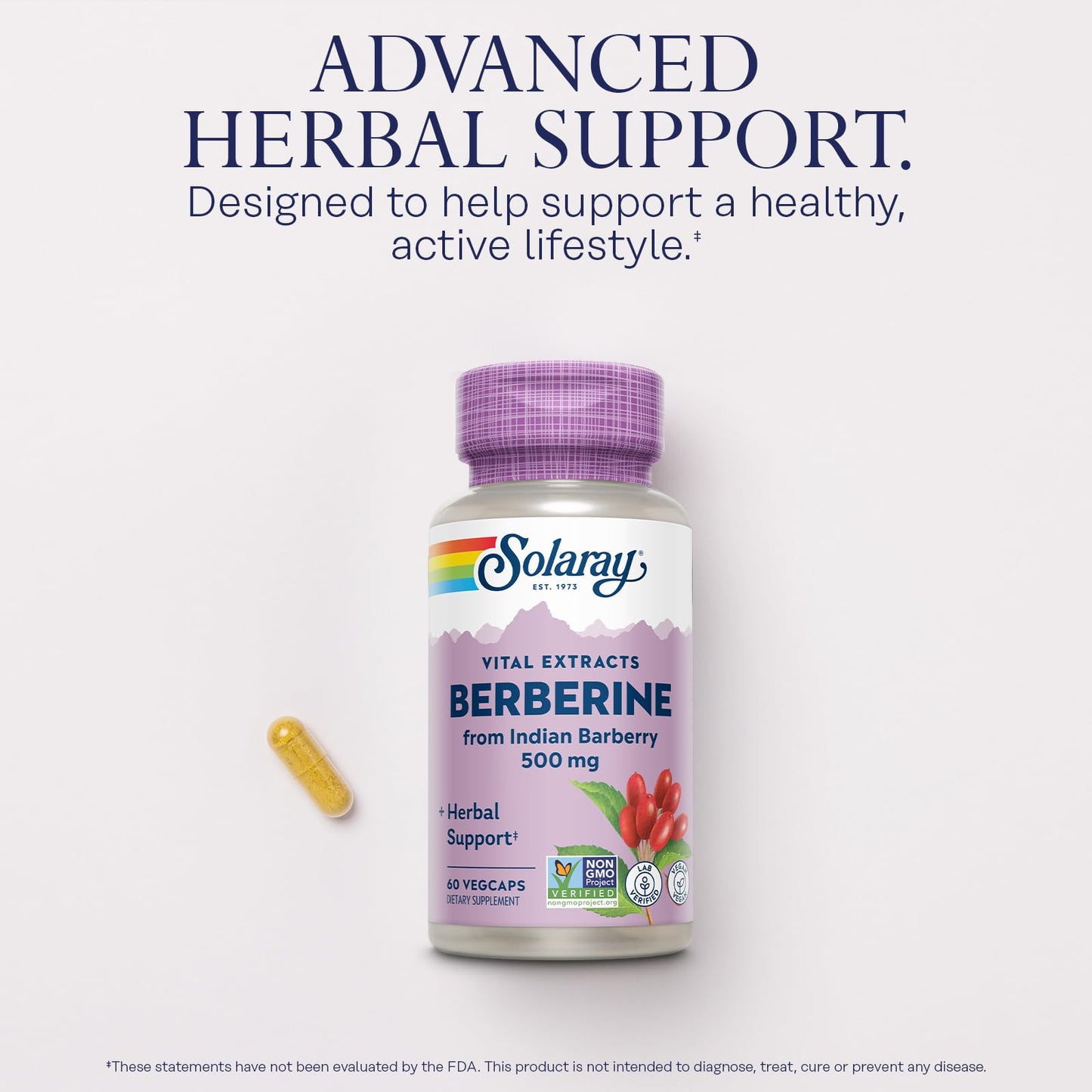 SOLARAY Berberine 500mg - Berberine Supplement for a Healthy, Active Lifestyle - with Berberine HCl from Indian Barberry - Vegan, Non-GMO, 60-Day Guarantee, Lab Verified - 100 Servings, 100 VegCaps