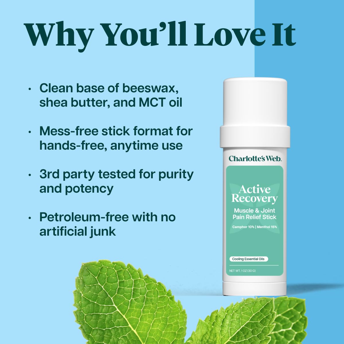 Charlotte's Web Active Recovery Muscle & Joint Pain Relief Stick 1oz