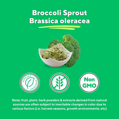 Vitapia Organic Broccoli Sprout Powder for Sulforaphane, Antioxidant, Brain, Skin, Heart Health Support - 100g Powder Supplement & 33 Day Supply - Non-GMO, Gluten-Free, Vegan-Friendly