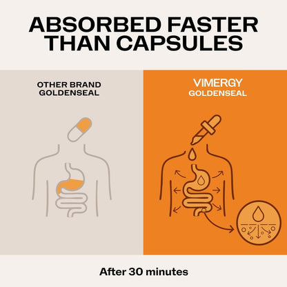 Vimergy USDA Organic Goldenseal Supplement – 57 2mL (2 Droppers or 48-54 Drops) Servings (200mg Extract Per Serving). Vegan, Alcohol-Free Golden Seal herb Drops Great for Tea (115 mL)