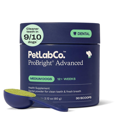 PetLab Co. ProBright Advanced Dental Powder, Small Dogs, 30 Scoops | Three-Time Award-Winning* formula shown to support tartar reduction and fresh breath in 28 days, One scoop daily