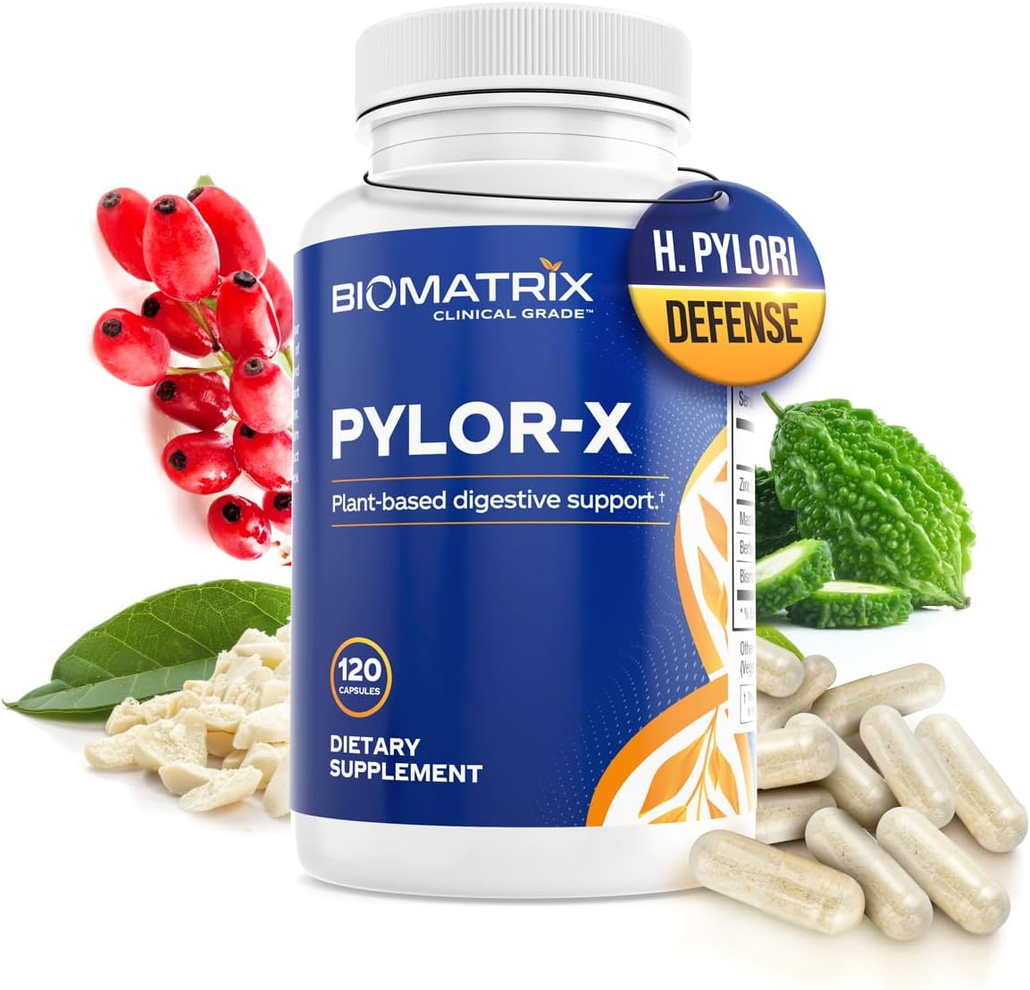 BioMatrix H Pylori Supplement, Mastic Gum, Berberine, Zinc Carnosine & Bismuth Salts, Probiotic Alternative, Gut Formula, 120 Capsules, 30-60 Day Supply