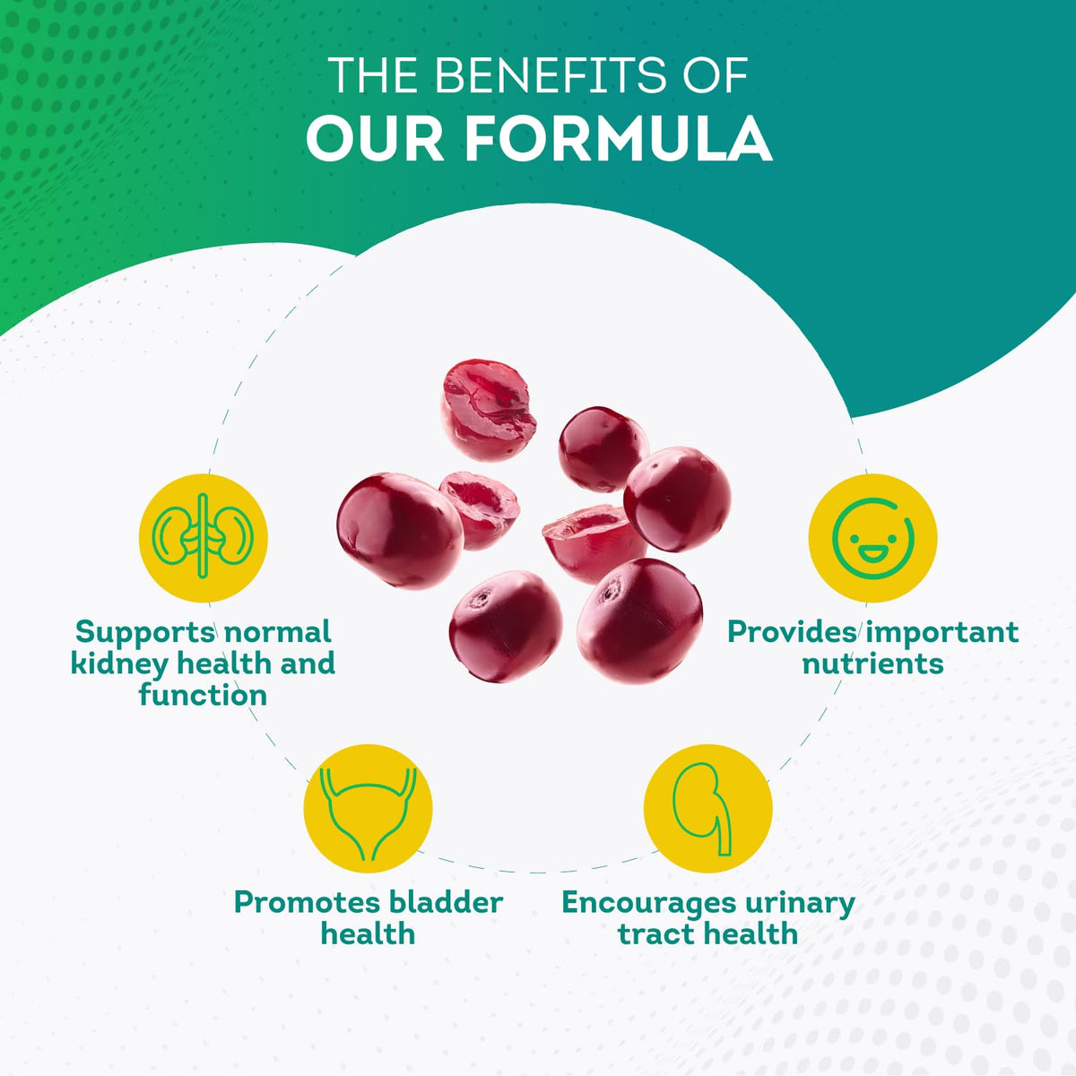 PurePremium Kidney Support Supplement for Men and Women - with Cranberry Extract