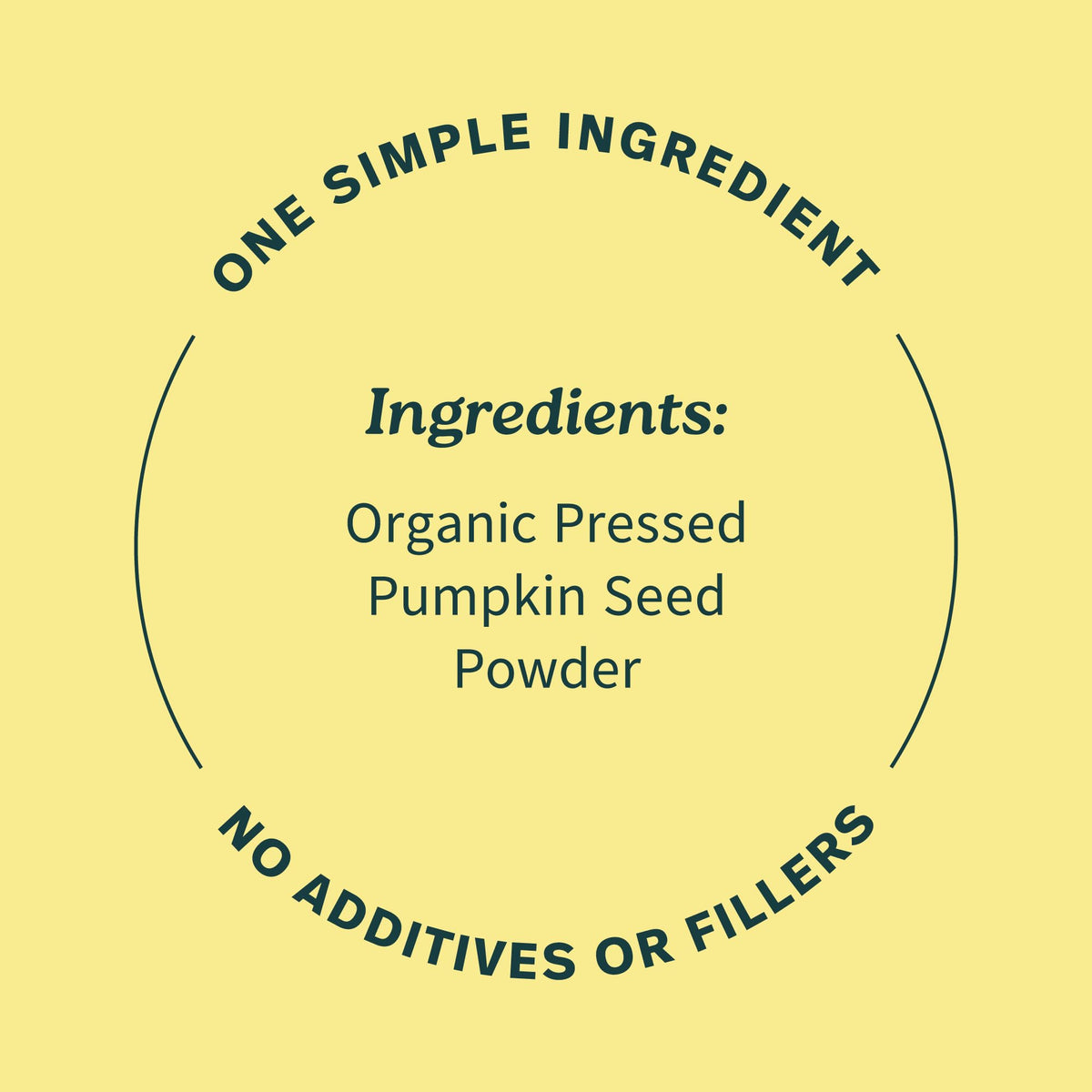 Sprout Living Organic Pumpkin Seed Protein Powder, Unflavored, 20 Grams of Plant Based Protein Powder Without Artificial Sweeteners, Non Dairy, Non-GMO, Vegan, Gluten Free (1 Pound, 14 Servings)