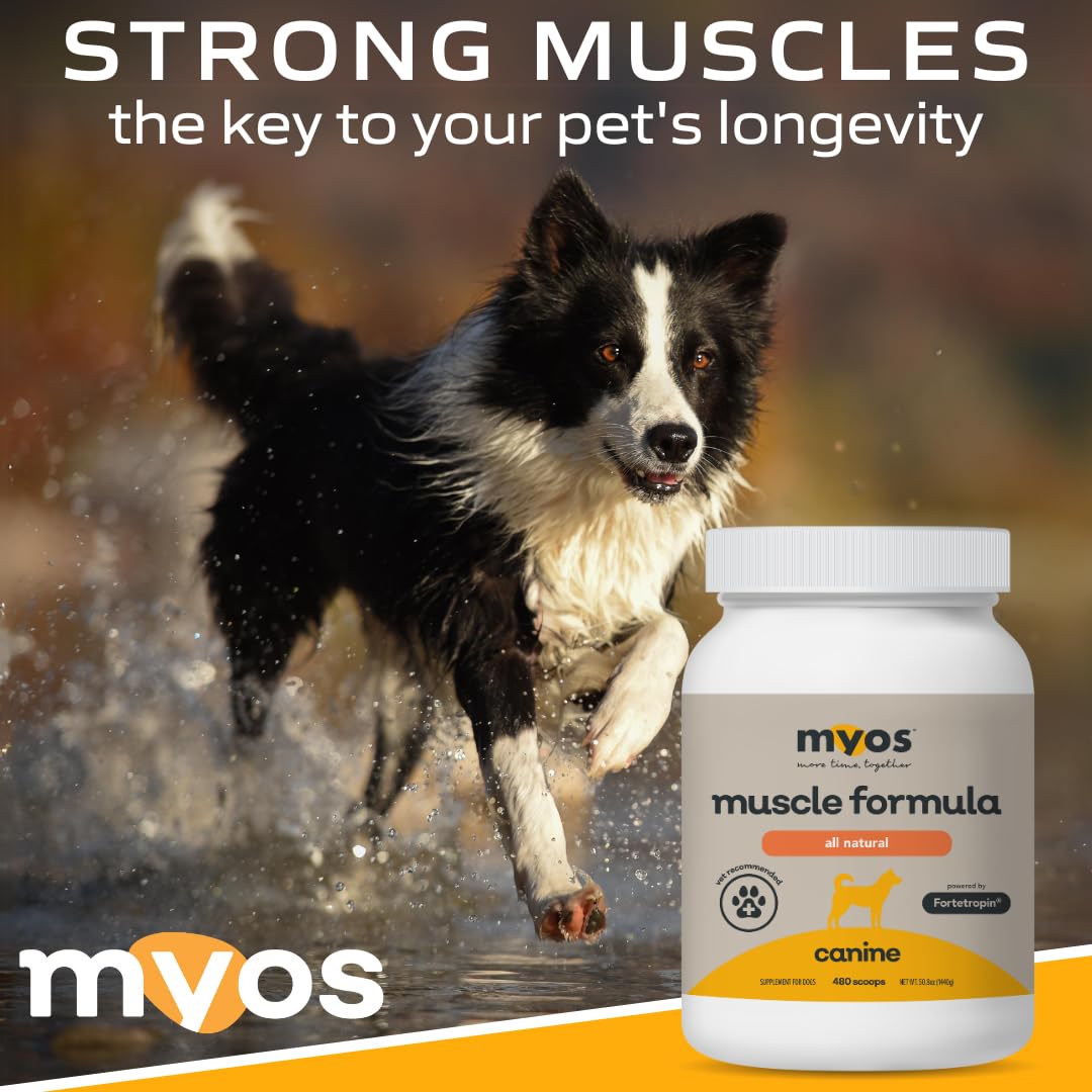 Powered by Fortetropin All-Natural Dog Muscle Builder and Mobility Support Supplement for Strength and Recovery - Helps Reduce Muscle Loss Due to Normal Aging, 360g
