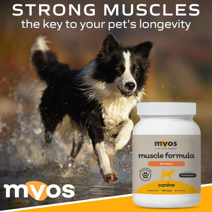 Powered by Fortetropin All-Natural Dog Muscle Builder and Mobility Support Supplement for Strength and Recovery - Helps Reduce Muscle Loss Due to Normal Aging, 360g