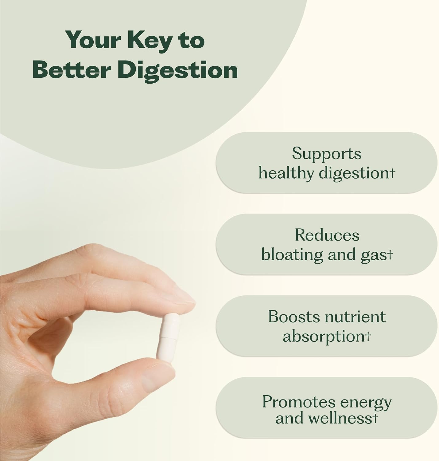 Enzyme 365 Advanced Digestive Enzymes Supplement with 17 Enzymes & Soothing Herbs | Supports Digestion, Reduces Bloating & Gas, Boosts Nutrient Absorption & Energy | 30 Servings | 17 Enzymes & Soothing Herbs, Supports Digestion, Reduces Bloating & Gas, Bo