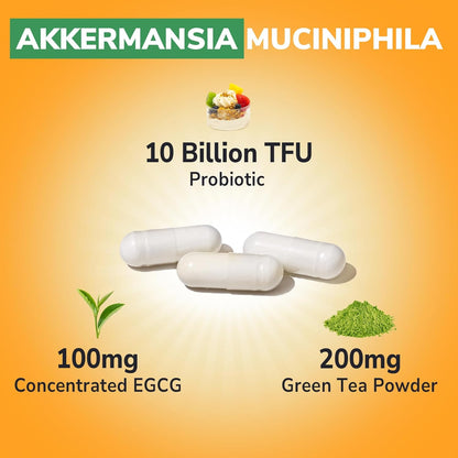 Vitalibre Akkermansia Probiotic 10 Billion TFU, with Concentrated EGCG from Green Tea Extract, GLP-1 Supplement for Gut Health, Metabolism Support & Sustain Energy Levels, 30 Vegan Capsules, No Gluten