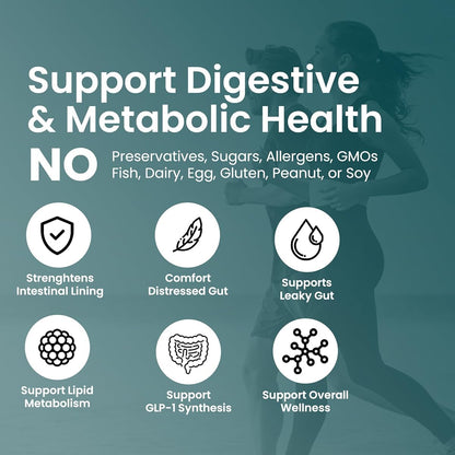 UpNourish Probiotics - 200 Billion CFUs for Men and Women, 15 Clinically Studied Strains, Prebiotics & Enzymes - 60 Vegan Capsules