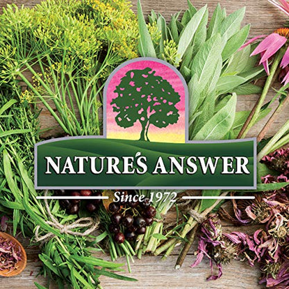 Nature's Answer Vitex Angus Castus Supplement 40 mg Capsules 90 Count
