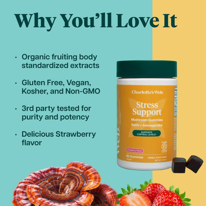Charlotte's Web Stress Support Mushroom Gummies w/Reishi, Ashwagandha, Rhodiola Rosea Supplement — Natural Supplement — Strawberry-Flavored Ashwagandha Gummies (30 Servings)