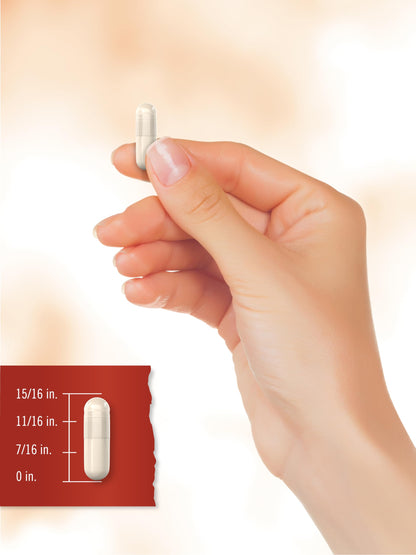 Carlyle Prebiotic, Probiotic & Postbiotic | 25 Billion CFU | 60 Powder Pills | Men and Women