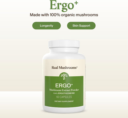 Real Mushrooms Ergothioneine Supplement – Golden Oyster Mushroom with Beta-Glucans – L-Ergothienine Extract Poweder – Organic, Vegan, Non-GMO, No Fillers – 60 Capsules Mushroom Supplement for Humans