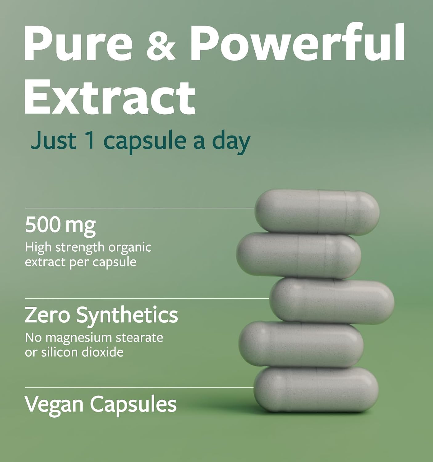 USDA Organic Moringa Capsules - High Potency Organic Moringa 500mg Extract 10:1 Per 1 Capsule Serving - Nutrient Dense Green Superfood Antioxidant - Vegan & Non-GMO Moringa (4 Month Supply)