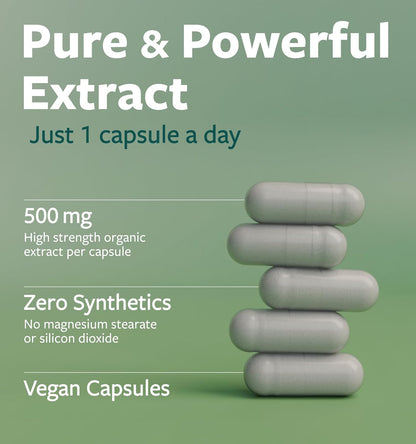 USDA Organic Moringa Capsules - High Potency Organic Moringa 500mg Extract 10:1 Per 1 Capsule Serving - Nutrient Dense Green Superfood Antioxidant - Vegan & Non-GMO Moringa (4 Month Supply)