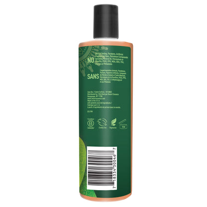 Desert Essence, Shampoo Tea Tree Replenishing, 12.9 Fl Oz