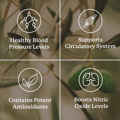 Nature's Sunshine Blood Pressurex 60 Capsules