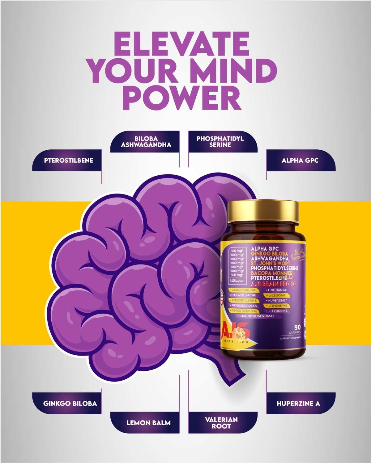 AJS Alpha GPC Nootropic Brain Supplement with Bacopa, 90 Capsules