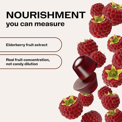 Vimergy NutriDense Berrylicious Immunity* Chewables (500mg Elderberry Extract & 7.5mg Zinc Sulfate per Serving) Vegan, No Artificial Sweeteners, Gluten-Free, Immune Support, 30 Servings (60 Count)