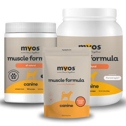 Powered by Fortetropin All-Natural Dog Muscle Builder and Mobility Support Supplement for Strength and Recovery - Helps Reduce Muscle Loss Due to Normal Aging, 360g