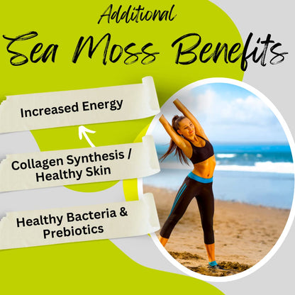 Advanced Bionetix Organic Irish Sea Moss Capsules, Raw Wildcrafted Seamoss Enhanced w/Bladderwrack & Burdock Root Capsules 120 Total Pills Antioxidant Packed. Prebiotic Superfood, Thyroid Support