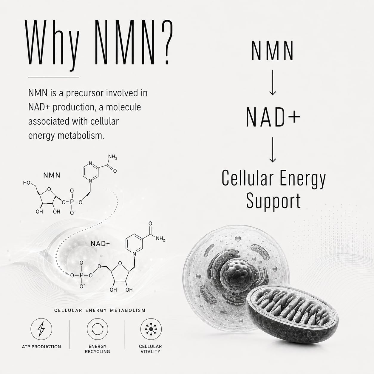 NMN Supplement 60000mg Nicotinamide Mononucleotide NAD+ Precursor Supports Mitochondrial Function, Cellular Energy & Healthy Aging 120 Capsules 60 Servings