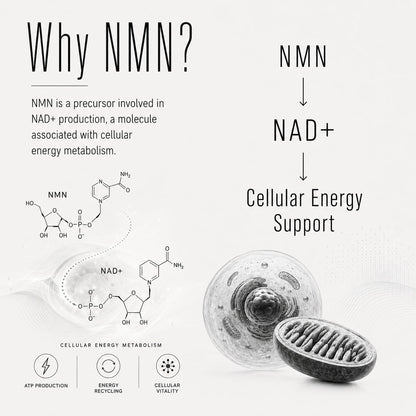 NMN Supplement 60000mg Nicotinamide Mononucleotide NAD+ Precursor Supports Mitochondrial Function, Cellular Energy & Healthy Aging 120 Capsules 60 Servings