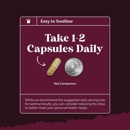 Advanced Kidney Support Supplement - Kidney Cleanse Detox & Repair Cranberry Extract Capsules with Uva Ursi, Stinging Nettle & Astragalus for Kidney Health - Urinary Tract Health - 60 Count