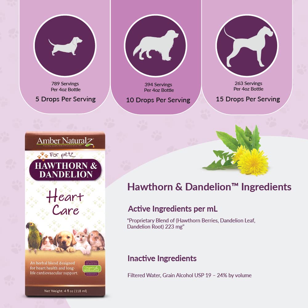Amber NaturalZ Hawthorn & Dandelion for Pets, Heart & Circulation Care, 1oz | Maintains optimal cardiovascular wellness in pets. Supports normal heart function, healthy blood circulation & fluid balance.