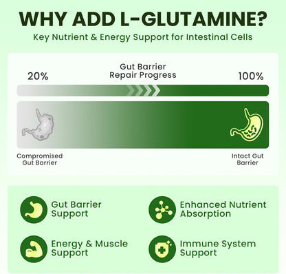 Wormwood Black Walnut Soursop Drops - Gut Health with L-Glutamine | Gentle Intestinal Cleanse & Digestive Health – with Prebiotics & Zinc for Mood Immune & Energy – Vegan Gluten-Free