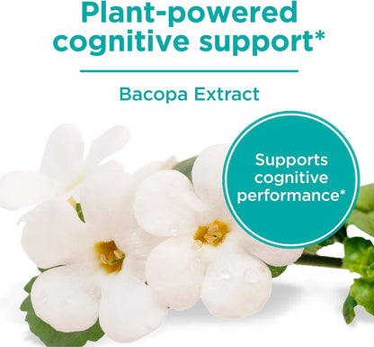 ONE A DAY Cognitive Supplement – Brain Supplement to Support Cognitive Performance