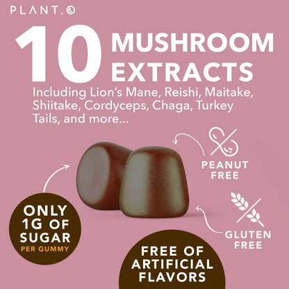 Mushroom Gummies Premium Supplement [10 Mushroom Complex Extract] Delicious & Fast Acting Lion’s Mane, Reishi, Shiitake Nootropic Brain Support, Immune Support, Mood & Relaxation, 60 Chews