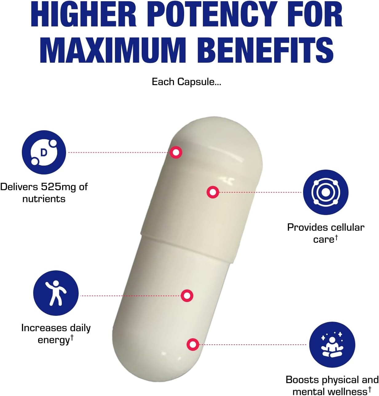 High Absorption Vitamin B3 Niacin Flush Free - Clinical Formula Flush Free Niacin Supplement from Inositol Hexanicotinate for Heart Skin & Nerve Support - Vegan Non-GMO Made in The USA - 100 Servings