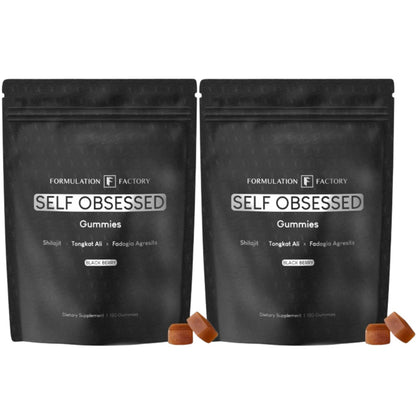 Formulation Factory Self Obsessed 10-in-1 Natural Testosterone Booster for Men, Testosterone Supplement for Men with Shilajit, Tongkat Ali, Fadogia Agrestis, 120 Capsules, 2 Month Supply