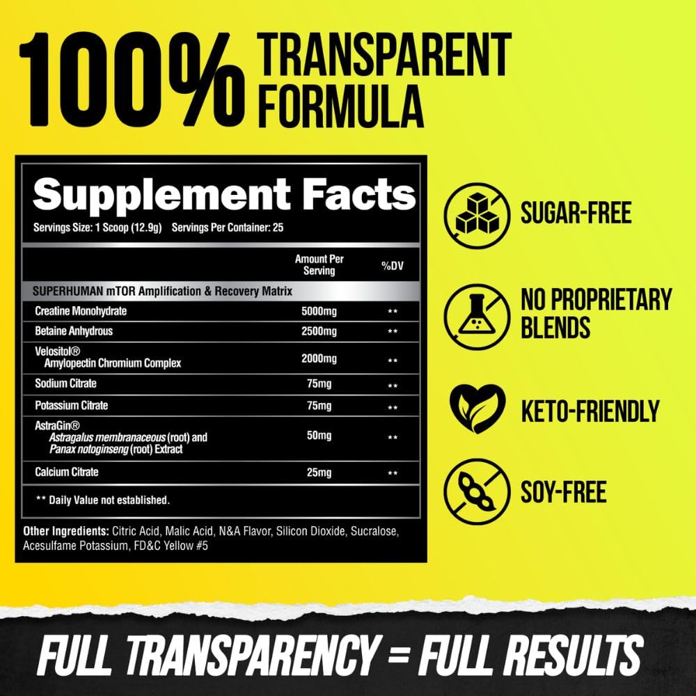Alpha Lion Superhuman Post Workout Recovery, Muscle Builder Drink, Creatine Powder + More for Lean Muscle Growth, Strength & Volume, Supplement for Women & Men (25 Servings, Gainy Smith Apple)