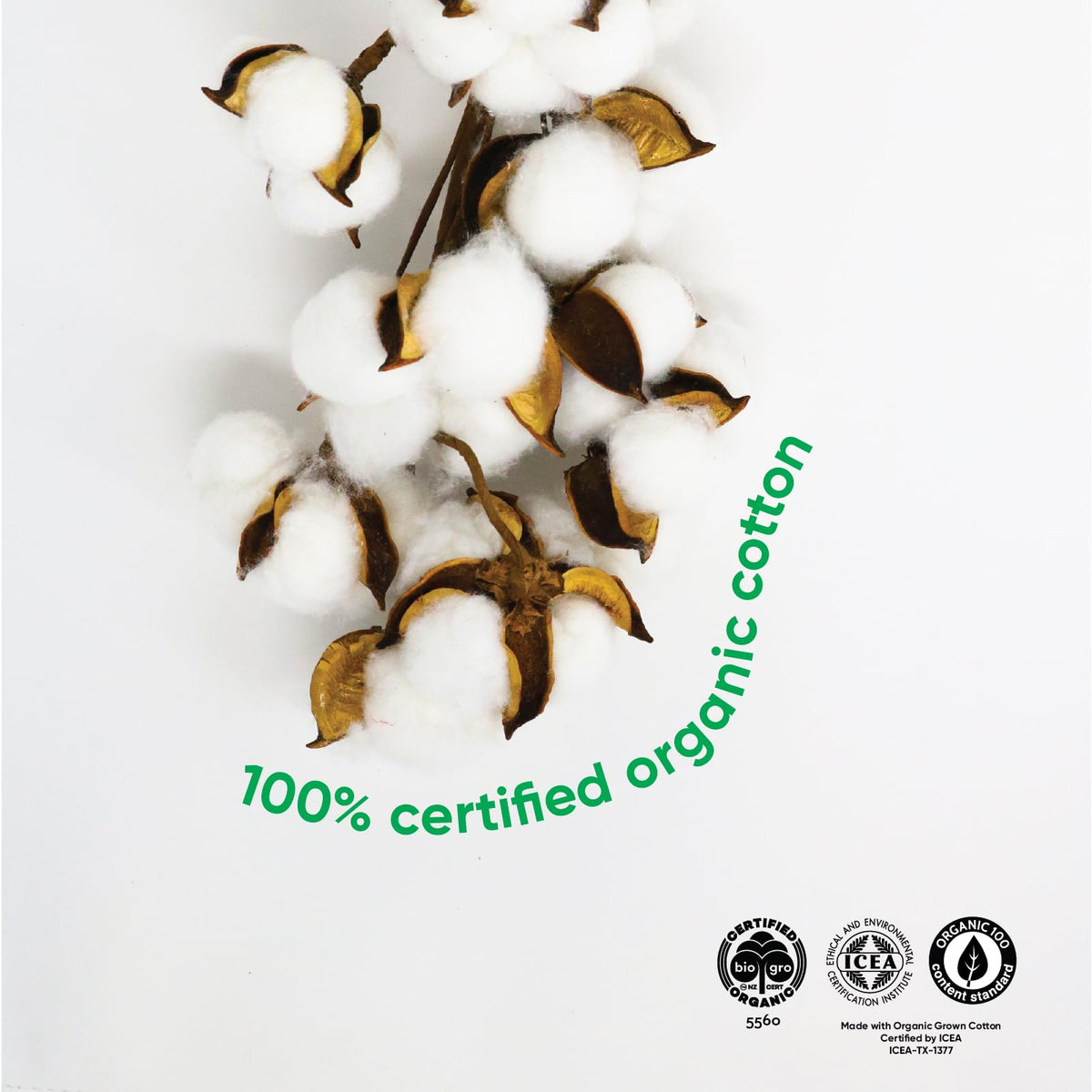 Oi | Organic Initiative - Tampons | Regular/Super Absorbency | Organic Cotton, Unscented